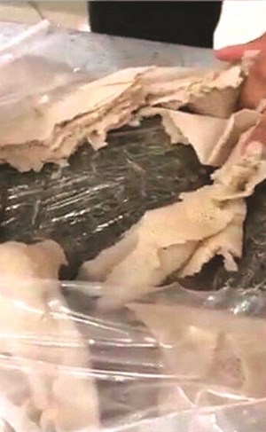 مصادرة ماريغوانا وقات من المطار