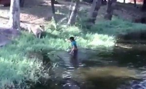بالفيديو.. رجل سكران حاول مصافحة الأسود!