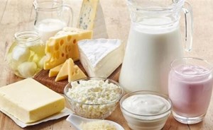 متى تكون منتجات الحليب جيدة أو ضارة؟