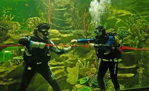 الروس يكتشفون بديلا عن البنزين