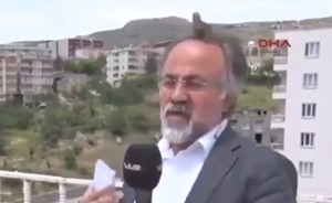 بالفيديو.. طائر يستقر فوق رأس مذيع في مقابلة على الهواء