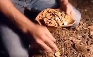 بالفيديو.. أروع لحظات اكتشاف الذهب .. حين يرزق الله الانسان من حيث لا يحتسب