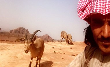 سعودي يعيش بين الوعول منذ 3 أعوام.. تعرف على قصته