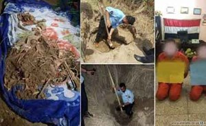 جريمة مروعة.. رفضت الزواج من رجل مسنّ فقتلها والدها وعمها