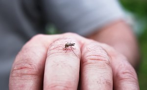 6 أسباب تجذب البعوض إليك كالمغناطيس.. فاحذر