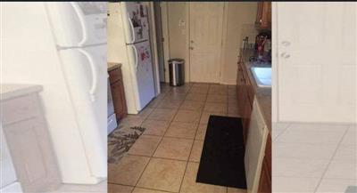 صورة «الكلب الذكي» التي حيرت الكثيرين