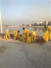 البلدية: رفع 6500 «كيس نفايات» بالأحمدي