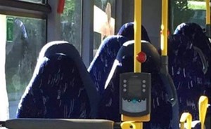 شاهد صورة.. موجة سخرية من مناهضين للمسلمين بسبب “خطأ في منتهى الغباء”