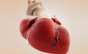 بالفيديو.. متحف ملكي يعرض أكبر قلب على وجه الأرض