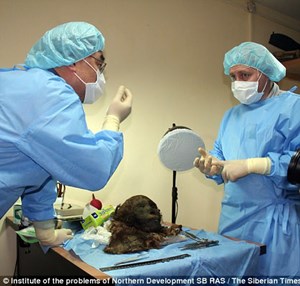 شاهد .. اكتشاف مومياء أميرة عمرها 900 عام لازالت محتفظة بشعرها