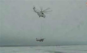 العثور على طائر محفوظ وسط الجليد لمدة 4200 عام بالنرويج