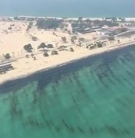 بالفيديو.. خبراء نفطيون وبيئيون يحذرون من تعدد وتمدد بقع الزيت مقابل «رأس الزور»