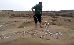 بالفيديو.. مواطن سعودي يتفاجأ بأعداد كبيرة من الثعابين تتجمع في مزرعته