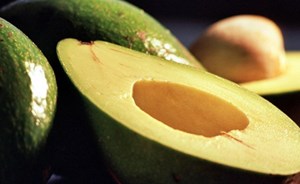 علاج سحري لأمراض القلب والسرطان في الأفوكادو