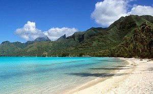 طبيب هبّ لنجدة زميلته وهي تنقذ ابنها فغرق الطبيبان ونجا الابن!