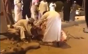 بالفيديو.. رجال يتسابقون على سلخ ناقة مصدومة وتقطيعها وأحدهم يحصل على رجلها