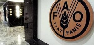 10_14_201715758PM_714679401