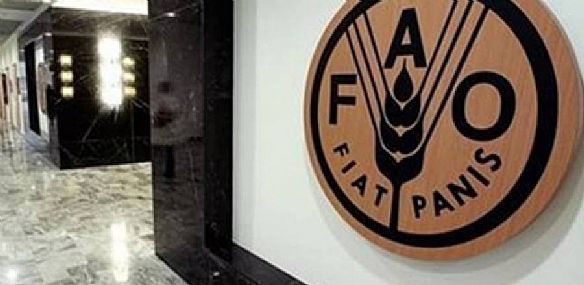 الكويت: حققنا أعلى مستويات الأمن الغذائي عربياً وعالمياً