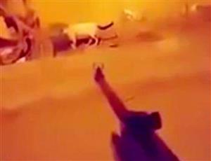 السجن لـ «سفاح القطط» في السعودية