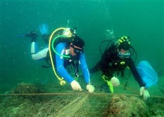 فريق الغوص: عناية خاصة لحماية التنوع البيولوجي بجون الكويت