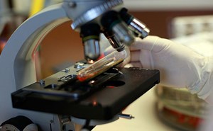 حقيقة مؤسفة عن نصف أدوية السرطان