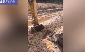 بالفيديو.. طفل يثير الدهشة بهذه المهارة المذهلة!