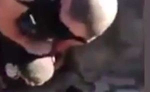 بالفيديو.. اعتداء ضابط على مراهق يغضب الأميركيين