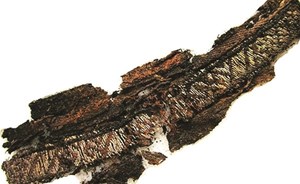 كلمتا «الله» و«علي» على ملابس دفن عصور الفايكنغ