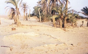 هل هذا هو المكان الذي غرق فيه فرعون وجنوده؟