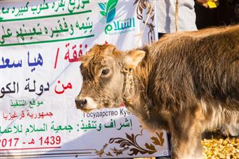 «السلام الإنسانية» تفتتح مشروعًا تعليميًا خاصًا بالأيتام في قرغيزيا