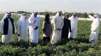 الحساوي: هيئة الزراعة تسعى لتحقيق قدر من الاكتفاء الذاتي وتوفير الأمن الغذائي