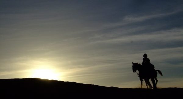 تعرف على السلطان الذي لقبه مؤرخو الغرب بالإسكندر الثاني لكثرة فتوحاته!