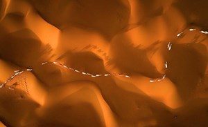 787278-3