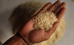 لماذا علينا التوقف عن تناول الأرز؟