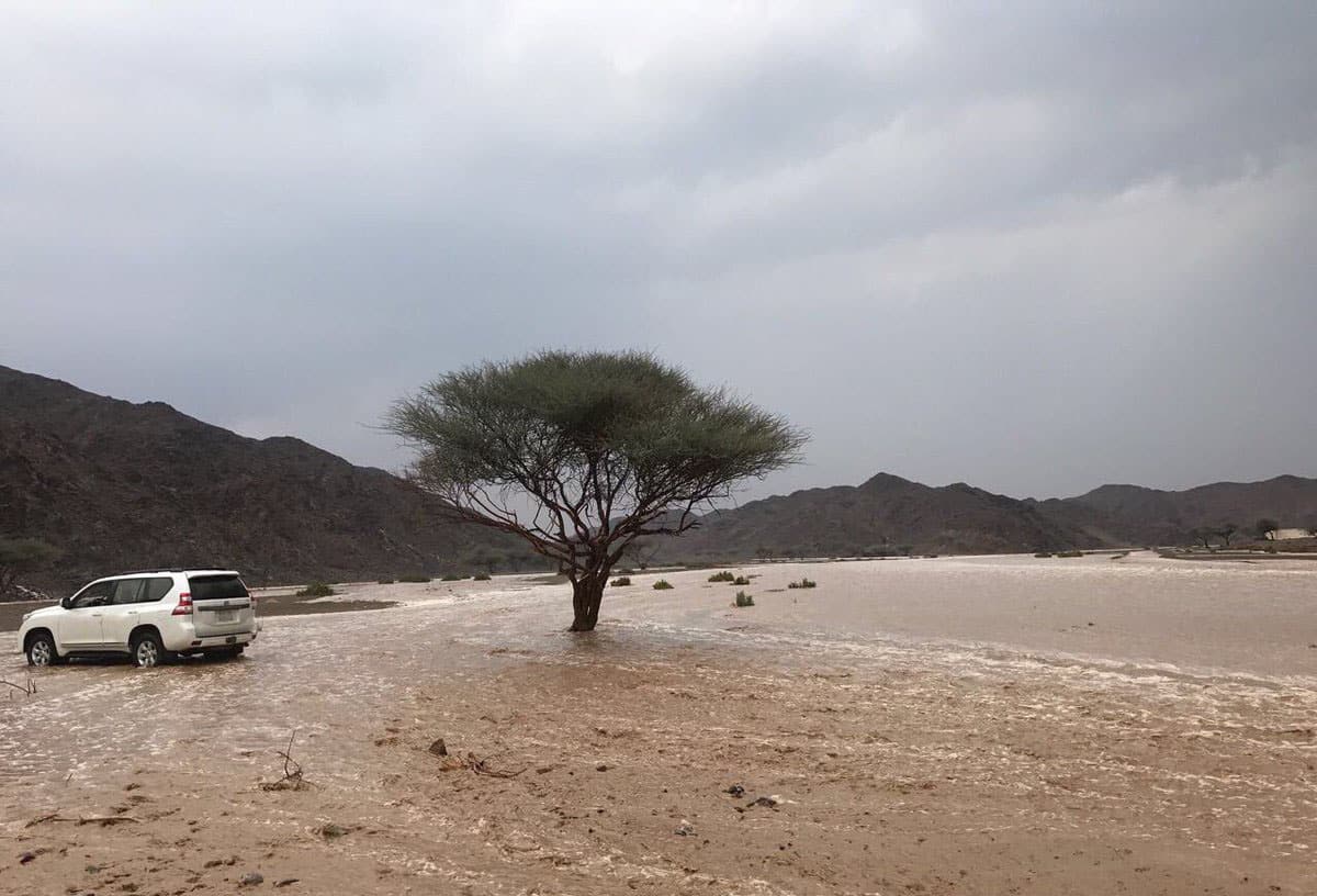 فيديو..مقطع يحبس الأنفاس لسيول تبوك