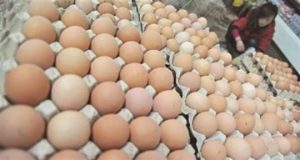 a496d4a9-2869-4eff-8b37-0313b2c8a019