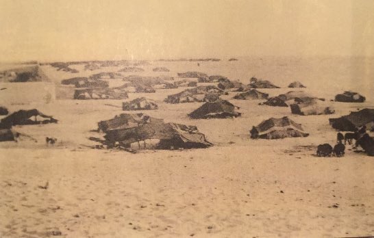 صورة نادرة… بادية الكويت عام 1940