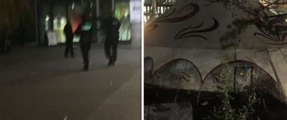 نمر يثير الذعر في شوارع باريس.. هرب من السيرك ولاحق أشخاصاً بأرجاء المدينة