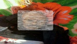43f04747-156e-4c29-b649-57ee1dddf88f