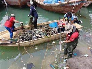 «الغوص» يرفع 4 أطنان مخلفات من ساحل الفحيحيل