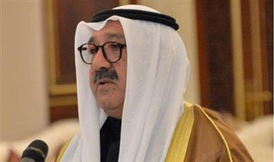 وزير الدفاع يبحث مع أعضاء الكونغرس الأمريكي الموضوعات المشتركة