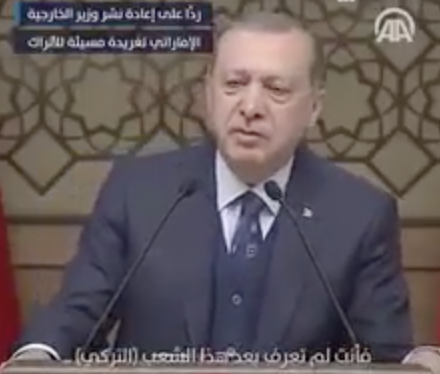فيديو | هجوم شرس من #أردوغان على وزير الخارجية الإماراتي