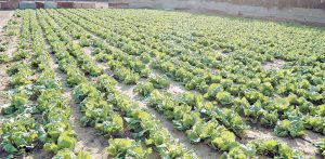 a2c2fcbd-2de7-430a-89b5-b0bccbbe4ff1