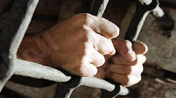 تجديد حبس رئيس شركة ونائبته الروسية بتهمة الاستيلاء على #المال_العام
