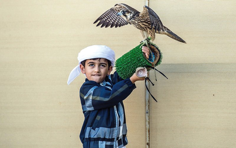 بالصور .. صقارون صغار على درب الآباء والأجداد