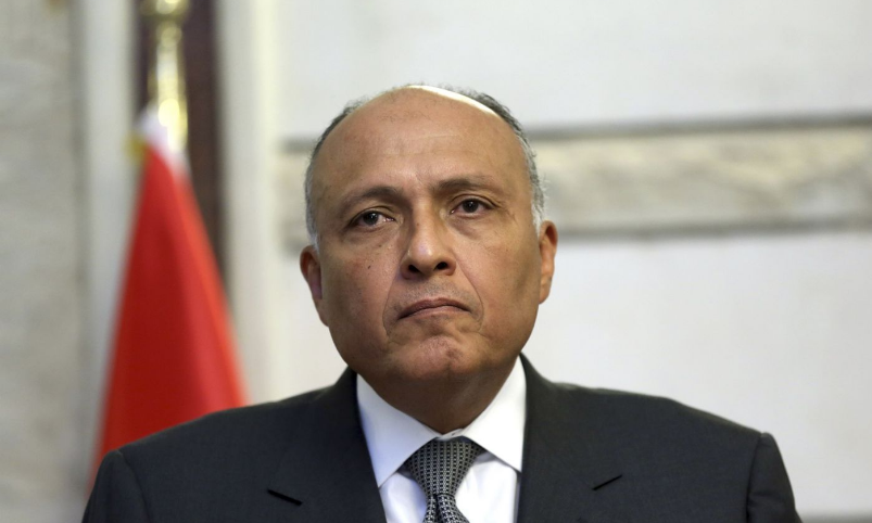 وزير الخارجية المصري يعلق على إمكانية دخول مصر في حرب جديدة