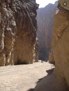 bb156626-08e9-4768-bd0d-7b11693780b8