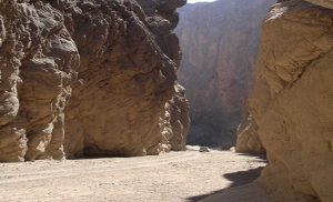 bed0b124-1838-45ce-ba19-92e3e83bdfde