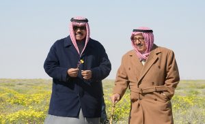 18672cf1-0cfa-4214-ae22-a065f4c3e9bc