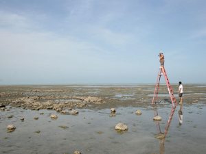 380c8fdc-7561-4089-997f-ea2e5fccff7f